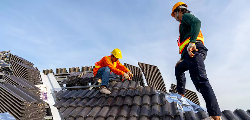Professional Roofing Services in Champaign, IL