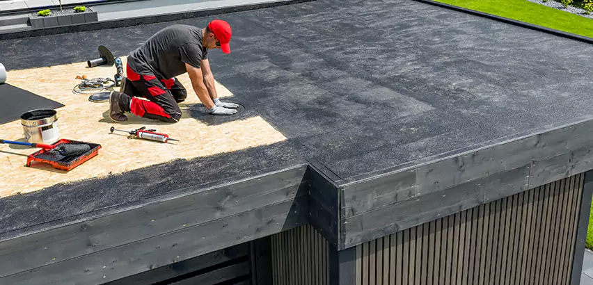 Professional TPO Roofing Services in Champaign, IL